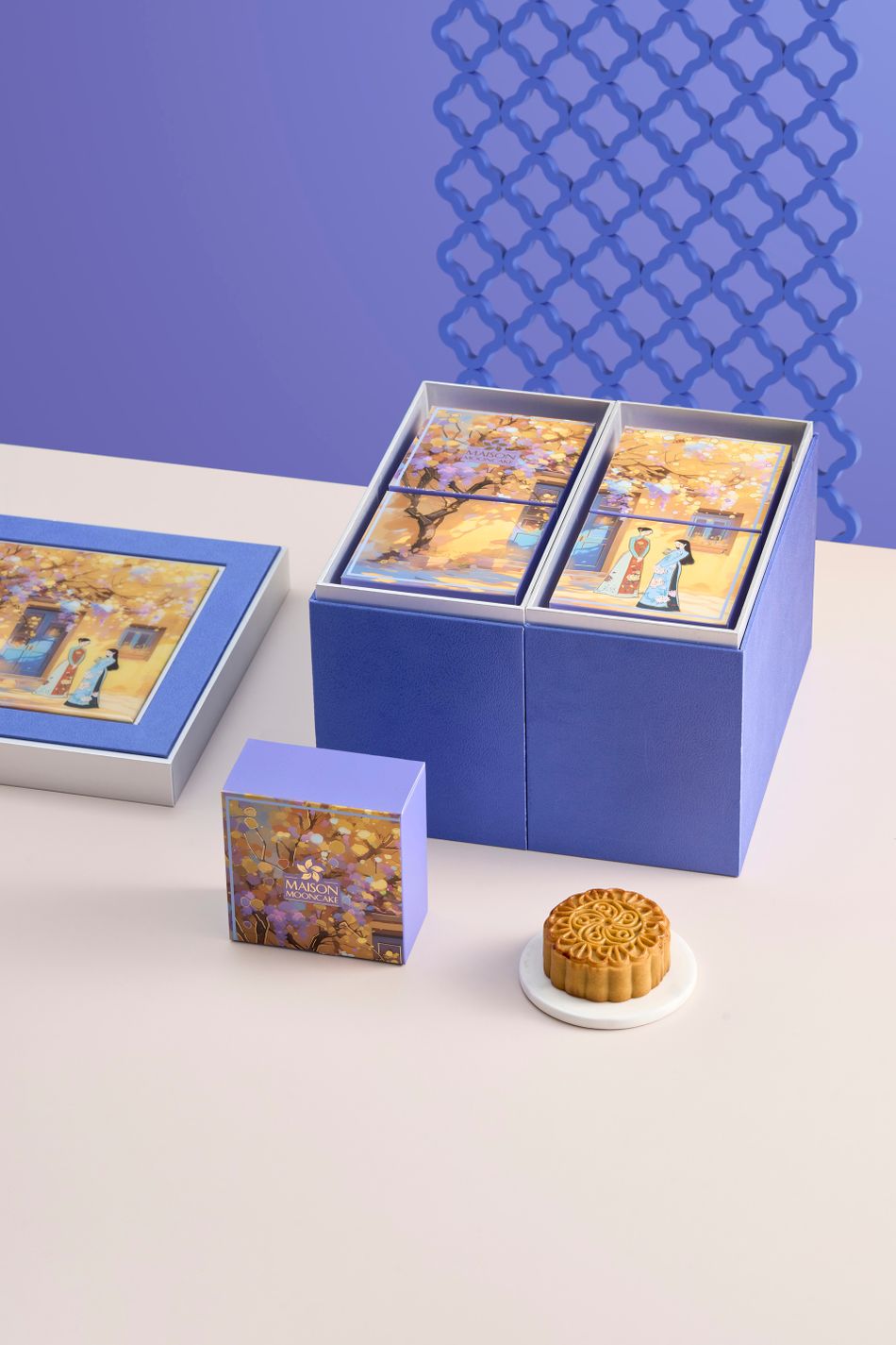 maison_00928-20250730004120-yk2rd