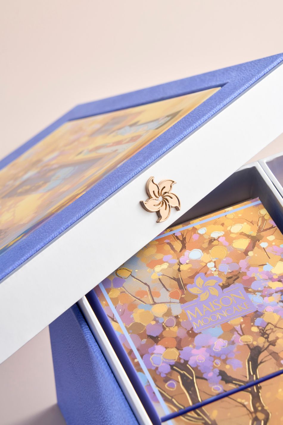 maison_00935-20250730004124-asuxe