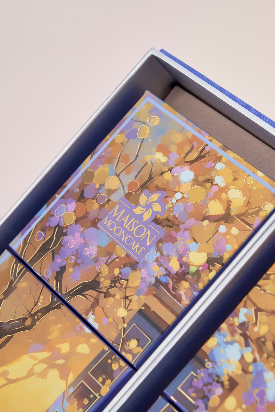 maison_00941-20250730004127-yjtfv